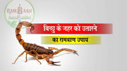 scorpion sting